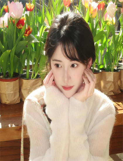 美学鉴赏：救命，我被美女包围了剧情的情节发展与悬念设置——历史考证的严谨分析